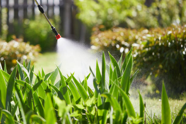 Tamper-Resistant Bait Stations for Rodents in Woodburn