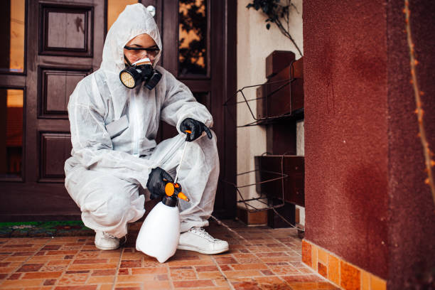 Attic and Crawl Space Rodent Treatment in Woodburn