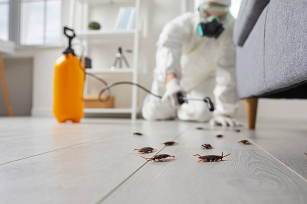 Commercial Rodent Management in Woodburn